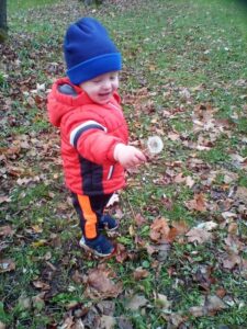 2021 October - Cubs Playing Outdoors (1)