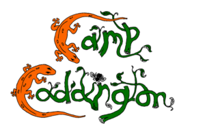 Camp Coddington is an outdoor nature based summer camp program in Ithaca NY