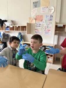 Two children from the Coddington Road Community Center examine animal brains. 