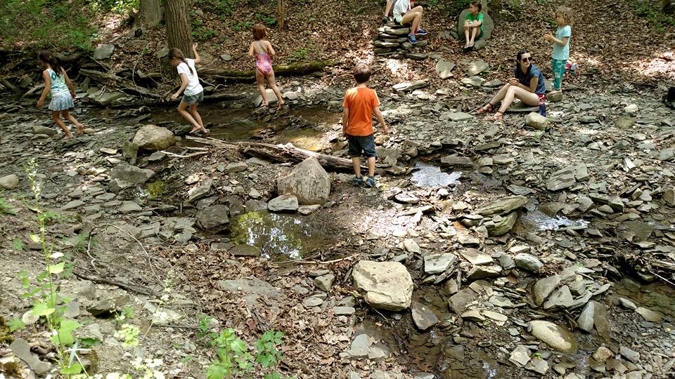 Coddington Wild, Ithaca day off programs, Ithaca no school, Ithaca child care, Ithaca no school childcare