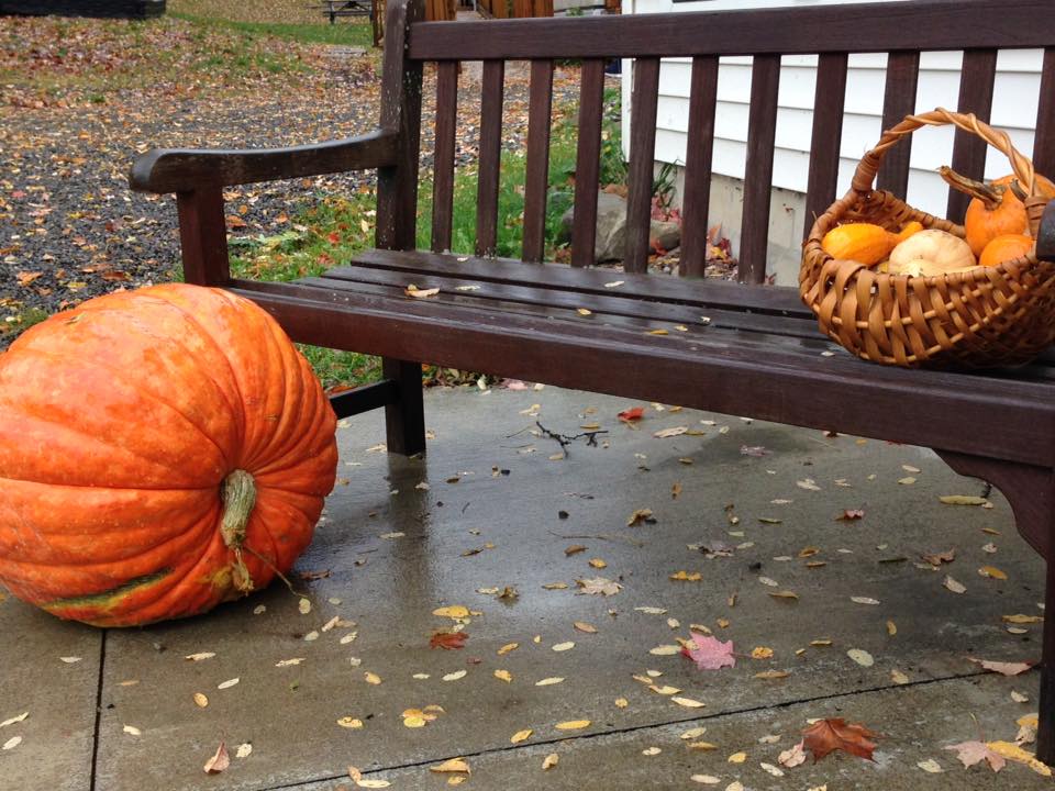 Fall Festival, Ithaca NY, Ithaca area events, Ithaca festivals, Ithaca community gatherings, Ithaca family fun, Family events in Ithaca