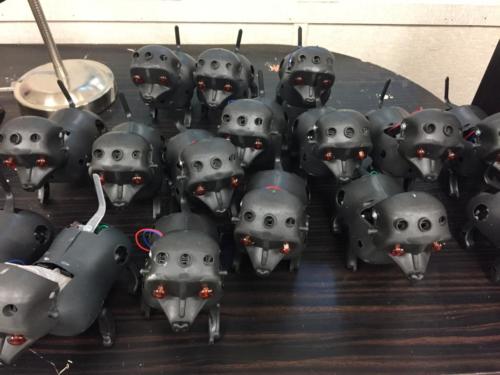 2018 July - Camp Invention at Coddington Photos (9)